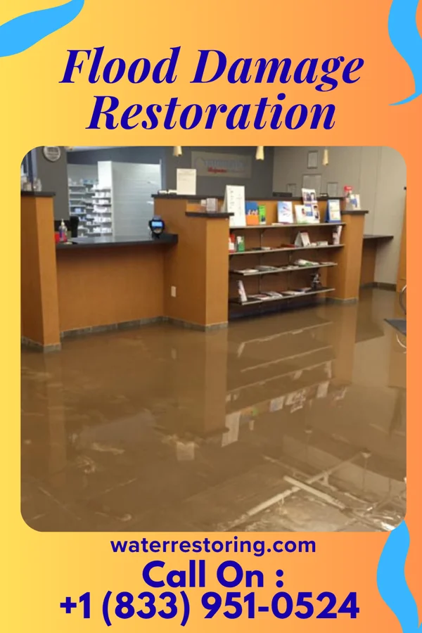 Flood Damage Restoration in Haddon Heights, NJ