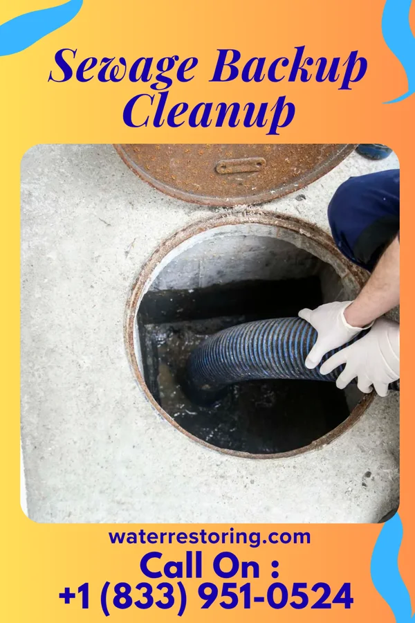 Sewage Backup Cleanup in Haddon Heights, NJ