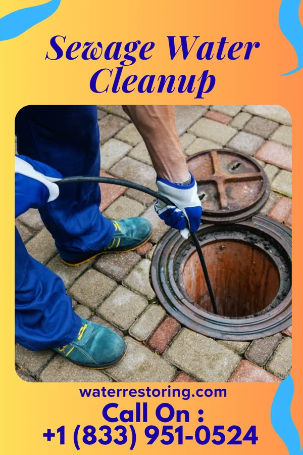 Sewage Water Cleanup in Haddon Heights, NJ