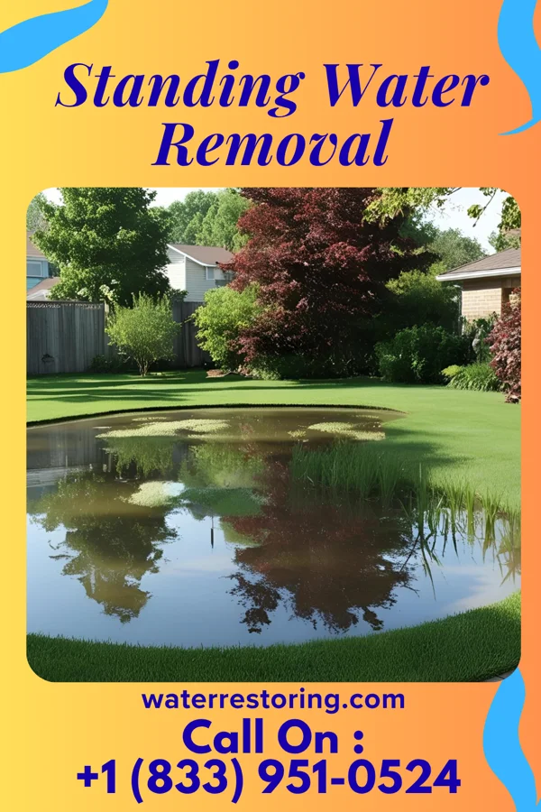 Standing Water Removal in Haddon Heights, NJ
